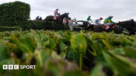 Cheltenham Festival 2024 Cross Country Chase Abandoned Bbc Sport