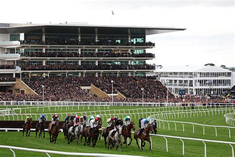 Cheltenham Festival 2025 Day 1 Race Card Betting Tips And Odds
