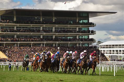Cheltenham Festival Day 3 Full Race Card And Tips List Of Runners On Thursday Irish Mirror