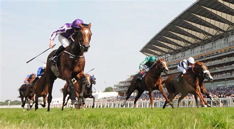 Cheltenham Horse Racing Today On Channel Fast Horse Racing Results Who Won The At Cheltenham Live On