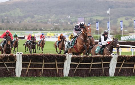 Cheltenham Race Card Today Ultimate Guide To Day 3 On Thursday Paddy Power News