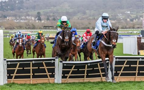 Cheltenham Races Results