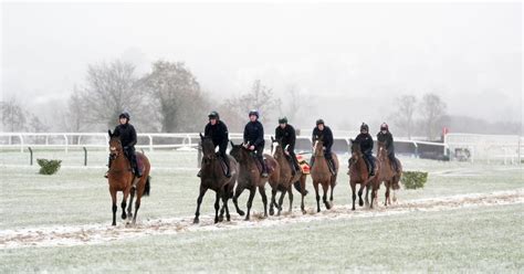 Cheltenham Weather Punters Receive Warning After Snow Falls At Prestbury Park Metro News