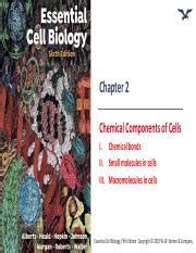Chemical Bonds Chapter 2 Chemical Components Of Cells Norton Ebook Reader