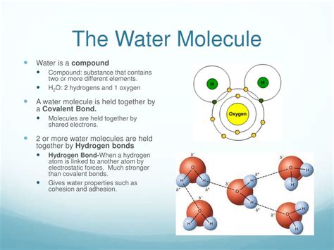 Chemical Properties Of Water Ppt Download