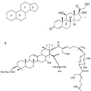 Chemical Structures Of Steroids And Avicin D A The Basic Ring