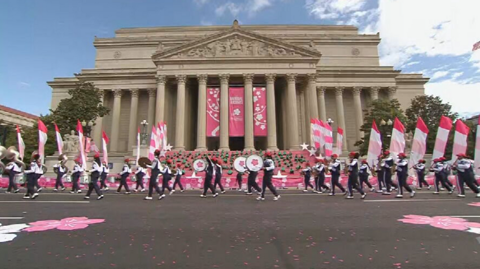 Cherry Blossom Parade 2024