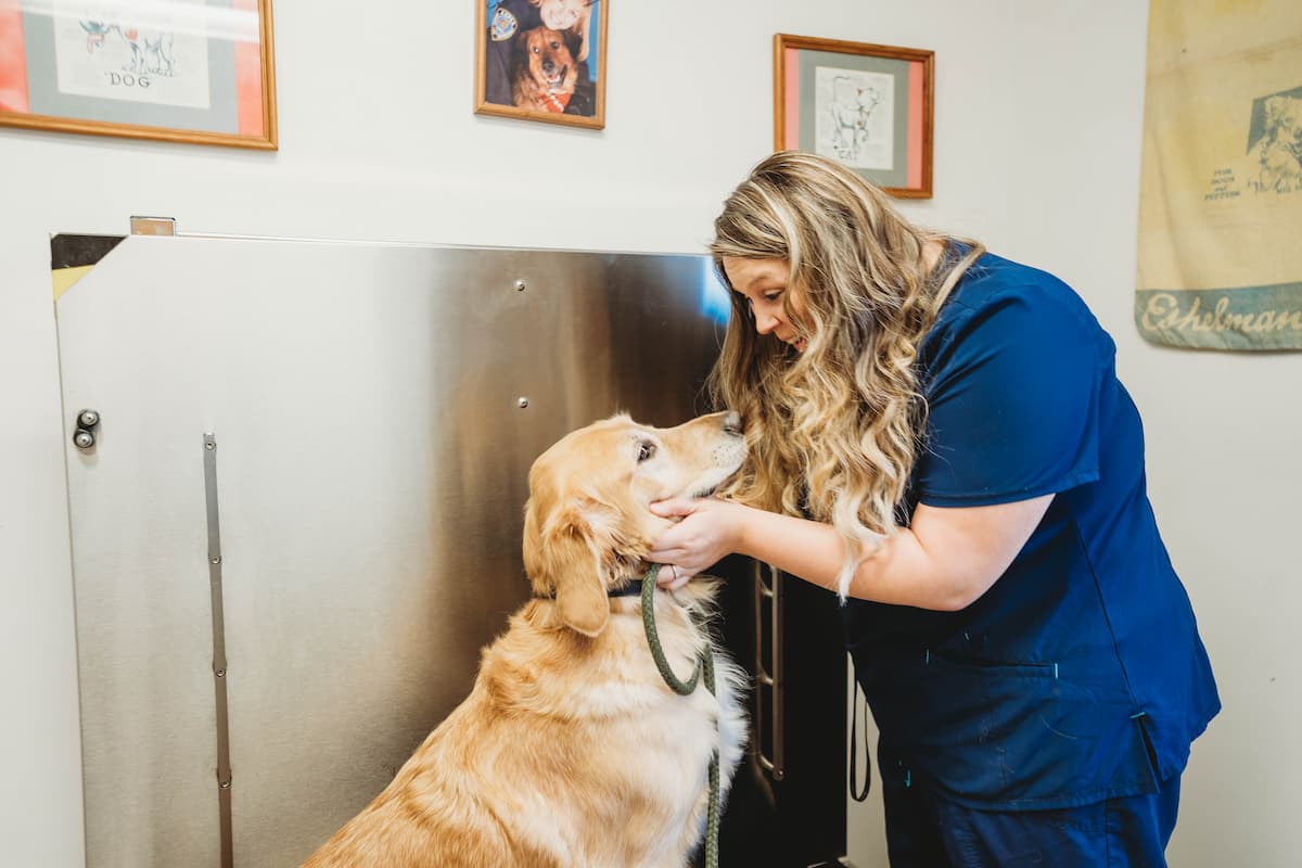 Cherryville Animal Hospital Updated April 2025 11 Photos 12