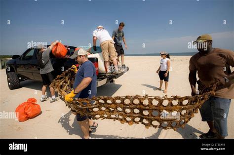 Chesapeake Bay Beaches Clean The Bay Day Joint Expeditionary Base