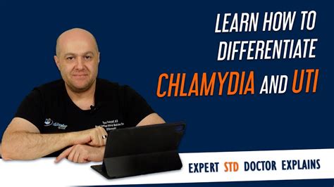 Chlamydia Or Uti Learn How To Tell The Difference Expert Std Doctor