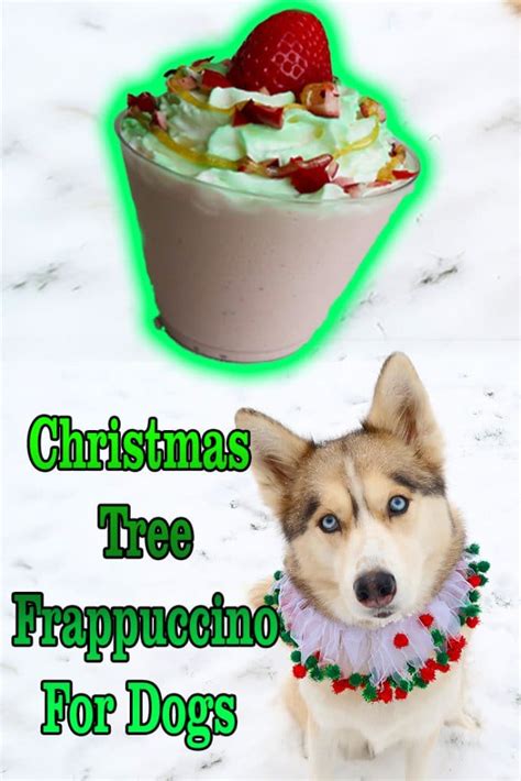 Christmas Tree Frappuccino For Dogs Gone To The Snow Dogs