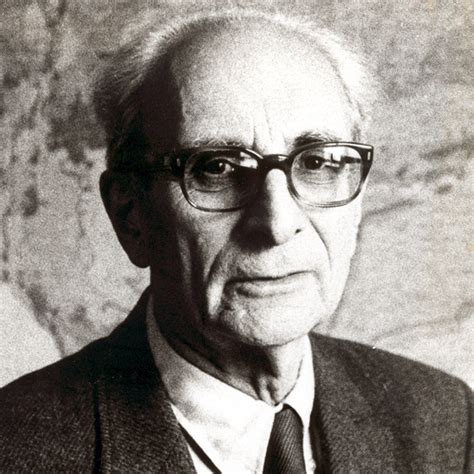 Claude Levi Strauss Anthropology Insights