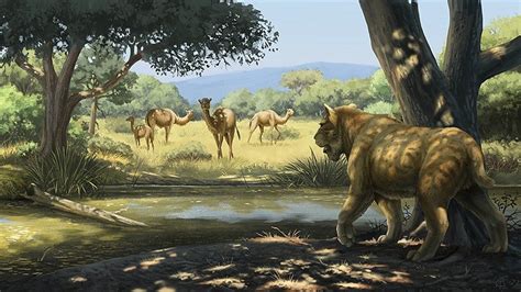 Climate Change Humans And Fire Likely Doomed Ice Age Animals Oregonnews