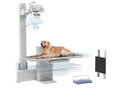 Coastal Medical Imaging Medical Equipment Clearwater Fl