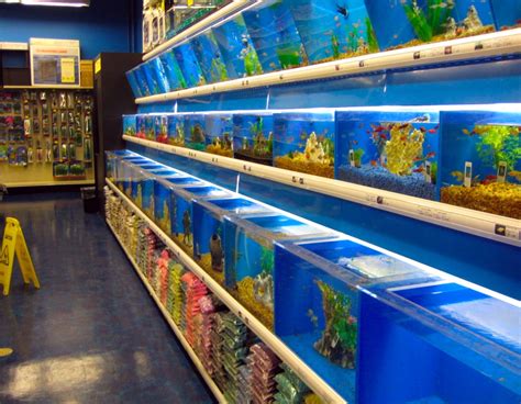 Colorado Store Front Specialty Fish Store First Aquarium Store Tour Last 2025 Video