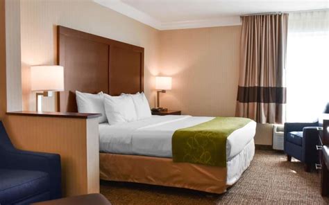 Comfort Suites Carlisle Pa Lion Country Lodging Comfort Suites Carlisle Pa Lion Country Lodging