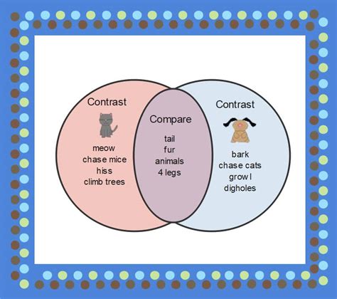 Compare And Contrast Graphic Organizer Examples Edrawmax Online