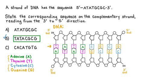 5 Ways Complementary DNA