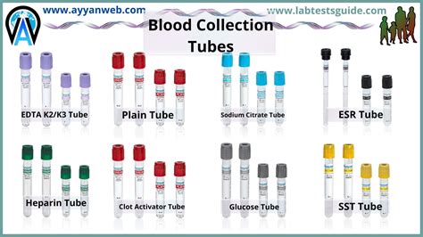 Comprehensive Buying Guide For Blood Collection Tubes Medzell Guides