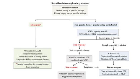 Consensus Guidelines On Management Of Steroid Resistant Nephrotic Syndrome