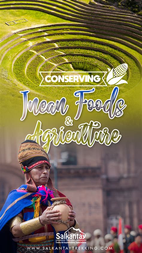 Conserving Incan Foods And Agriculture Travel Blog