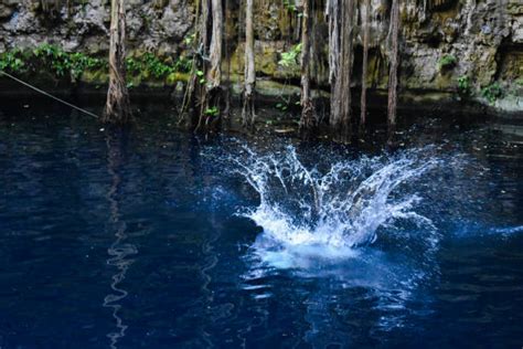 Conte Yucatan Jumping Vs Traditional Parkour: Which Is Safer