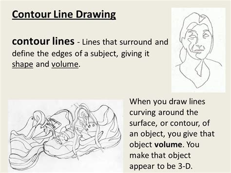 Contour Line Definition Art Definitionkd