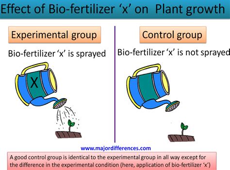 Control Group vs Experimental Group: Key Insights