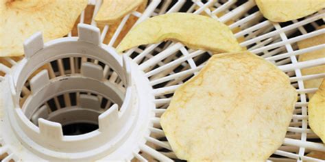 Cornell Cooperative Extension Dehydrating Food Preservation