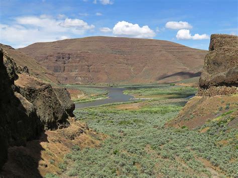 Cottonwood Canyon Oregon Northwest Wildflowers
