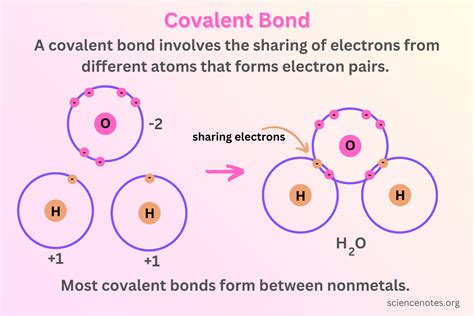 Covalent Bonds Explained Definition Types Examples Science Equip