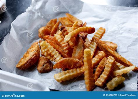 Crinkle Cut Fries Stock Image Image Of Dish Entree 254820789 Crinkle Cut Fries Stock Image Image Of Dish Entree 254820789