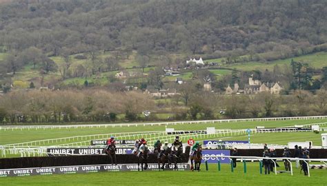 Cross Country Chase Tips Betting Preview 2025