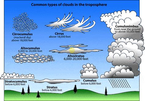 5 Cumulus Name Facts