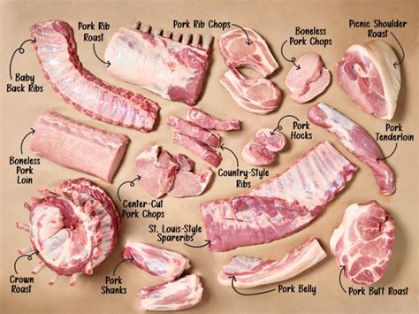 Cuts Of Pork Where They Come From With Chart
