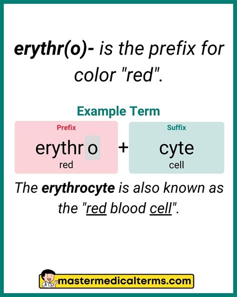 Cyte Medical Term