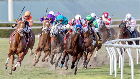 Daily Horse Racing Lineup Racetracks To Watch And Bet Today America S Best Racing