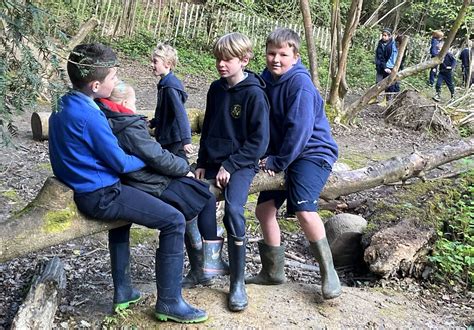 Danehill Church Of England Primary School Woodland Play