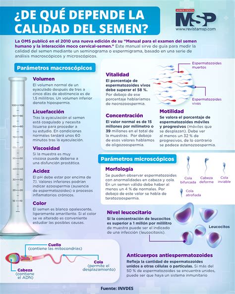 De Qu Depende La Calidad Del Semen De Tu Pareja