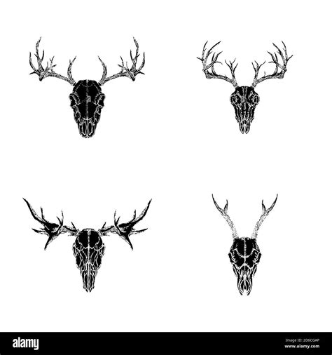 Deer Skull Tattoos Images Browse 6 532 Stock Photos Vectors And Video Adobe Stock
