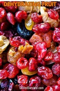 Dehydrating Fruit How To Preserve Sweet Calories