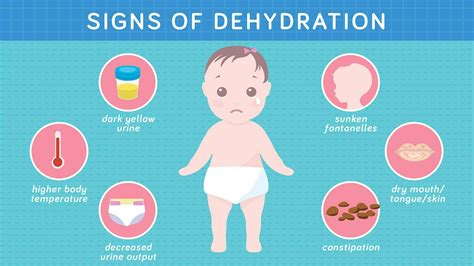 Dehydration In Infants Reasons Signs Treatment