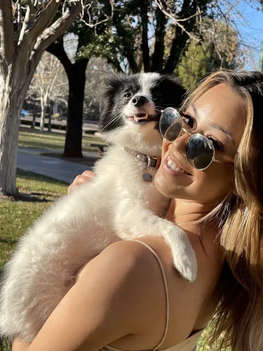 Denver Animal Emergency