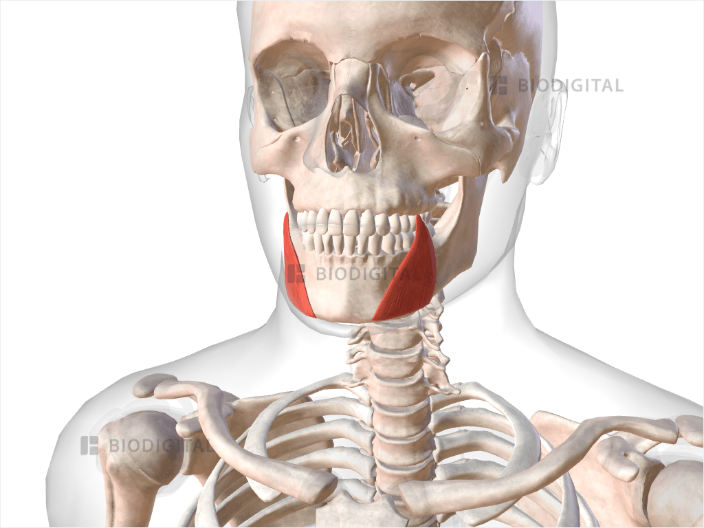 5 Ways Depressor Anguli Oris