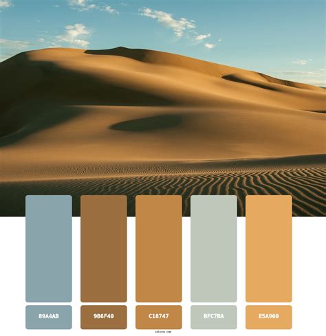 Discovering the Beauty and Uses of Desert Sand Color in Design