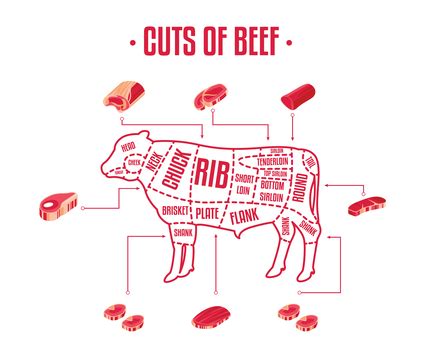 Detailed Guide To The Different Cuts Of Beef Robert Wholey Company