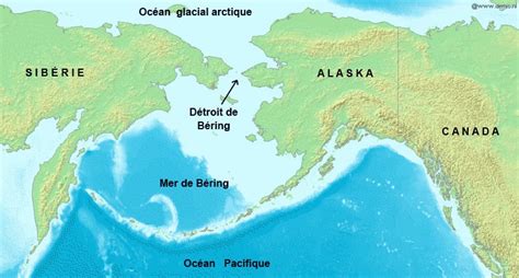 Exploring the Legacy and Innovation of Detroit Bering