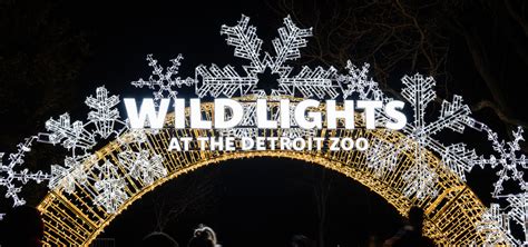 Detroit Zoo S Wild Lights Holiday Display Ranked In Usa Today S 10 Best Zoo Lights