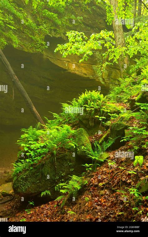 Devils Punchbowl Shades State Park Indiana Stock Photo Alamy Devils Punchbowl Shades State Park Indiana Stock Photo Alamy