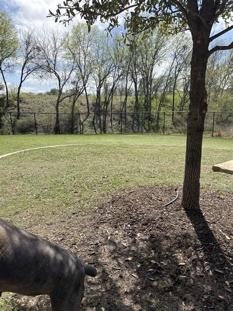 Devonshire Updated February 2026 1201 Ravenhill Dr Forney Texas Housing Cooperatives Phone Number Yelp Devonshire Updated February 2026 1201 Ravenhill Dr Forney Texas Housing Cooperatives Phone Number Yelp